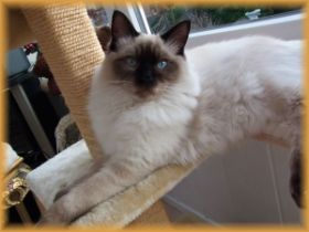 aslan6monate (1).jpg