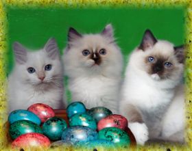 Ostern2013.jpg