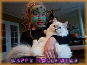 Lilly6MonateHalloweenWeb (1).jpg