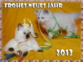 FWurfSilvester2013.jpg