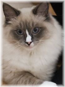 John-Boy6Monate2Web (1).jpg