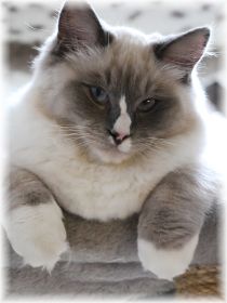 John-Boy6MonateWeb (1).jpg