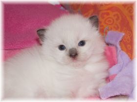 Wega2WochenWeb (1).jpg