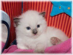 WegaWendy3Wochen (1).jpg