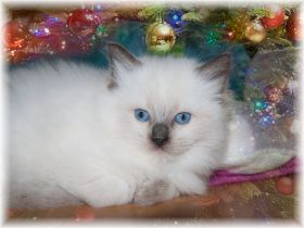 wendy5wochen (1).jpg