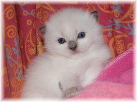 Worf2Wochen2 (1).jpg