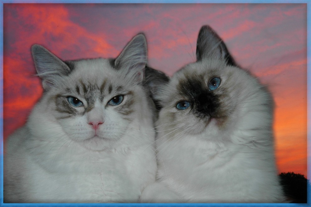 füreinander da.... füreinander da....